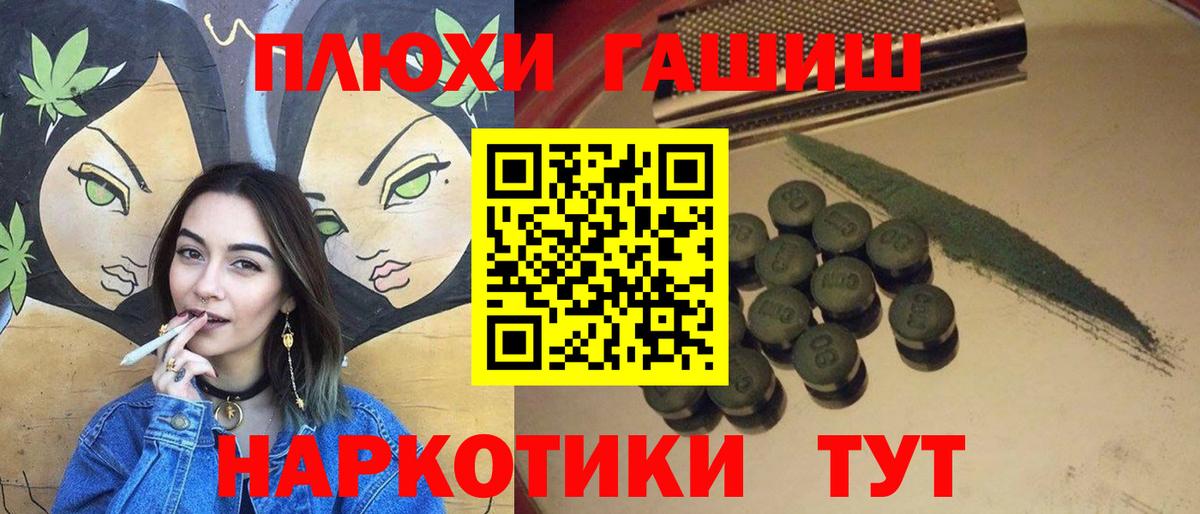 ГАШ Premium Новодвинск