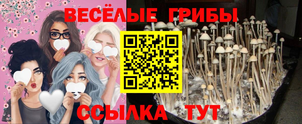 Галлюциногенные грибы прущие грибы Новодвинск